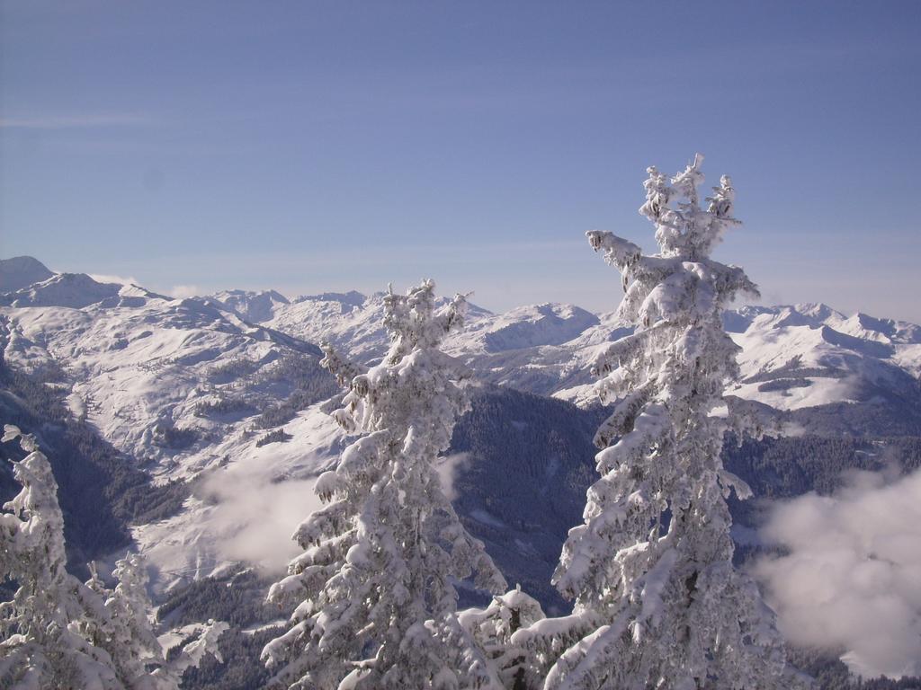 Apartment Landhaus Krall Westendorf Zewnętrze zdjęcie